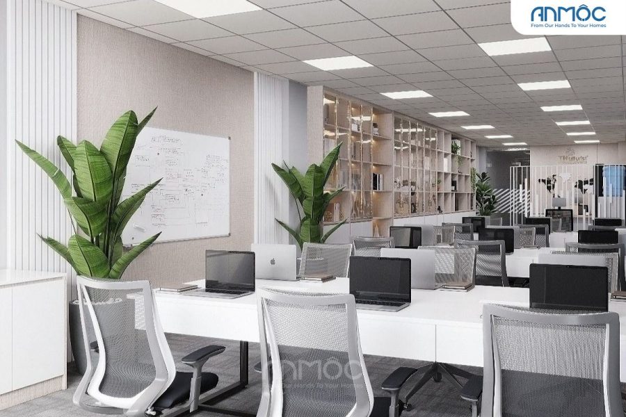 Bàn làm việc chung, cây xanh trang trí và hệ thống tủ kệ âm tường phía sau