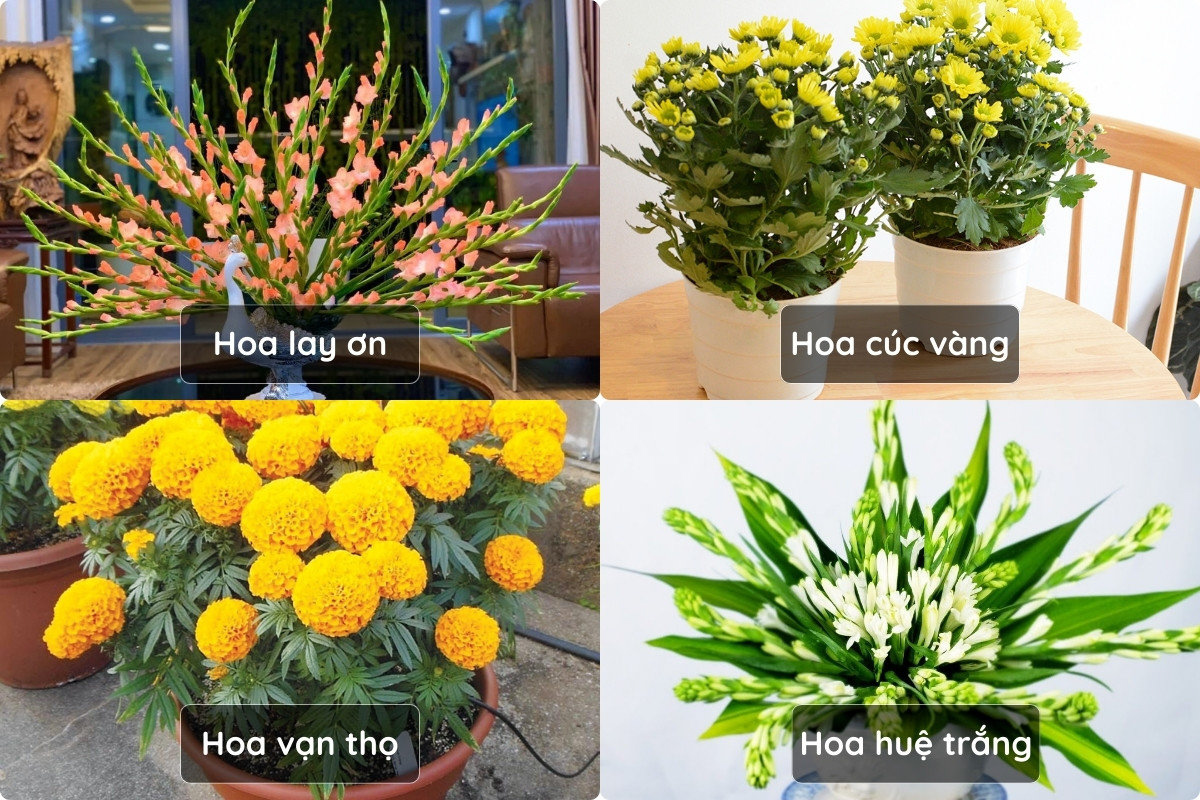 5+ Cách Trang Trí Bàn Thờ Ngày Tết Đẹp, Chuẩn Phong Thuỷ 2026 62 Các loại hoa nên dùng khi trang trí bàn thờ ngày Tết như hoa cúc, huệ, lay ơn, mang ý nghĩa may mắn