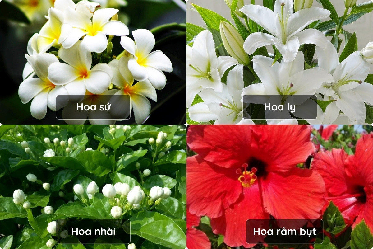 5+ Cách Trang Trí Bàn Thờ Ngày Tết Đẹp, Chuẩn Phong Thuỷ 2026 63 Những loại hoa nên tránh khi trang trí bàn thờ ngày Tết để hạn chế năng lượng xấu đầu năm cho gia chủ